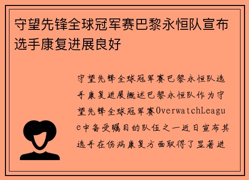 守望先锋全球冠军赛巴黎永恒队宣布选手康复进展良好