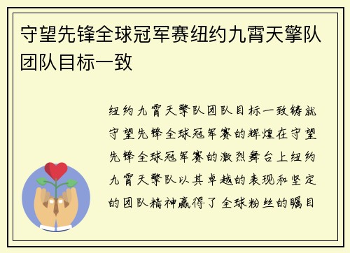 守望先锋全球冠军赛纽约九霄天擎队团队目标一致